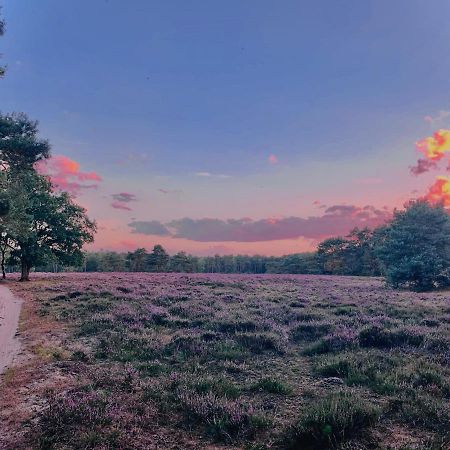 Sluwe Vos: Ontspannen In Het Bos! อ็อตเตอร์โล ภายนอก รูปภาพ