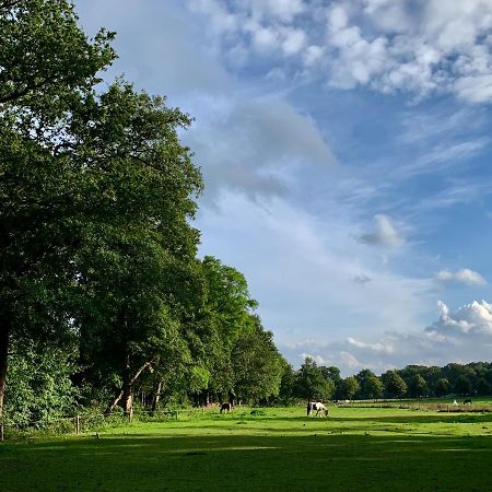 Sluwe Vos: Ontspannen In Het Bos! อ็อตเตอร์โล ภายนอก รูปภาพ