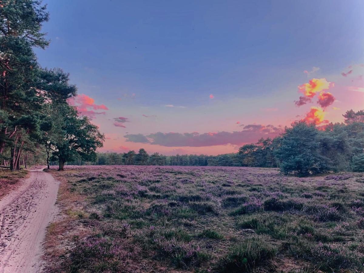 Sluwe Vos: Ontspannen In Het Bos! อ็อตเตอร์โล ภายนอก รูปภาพ