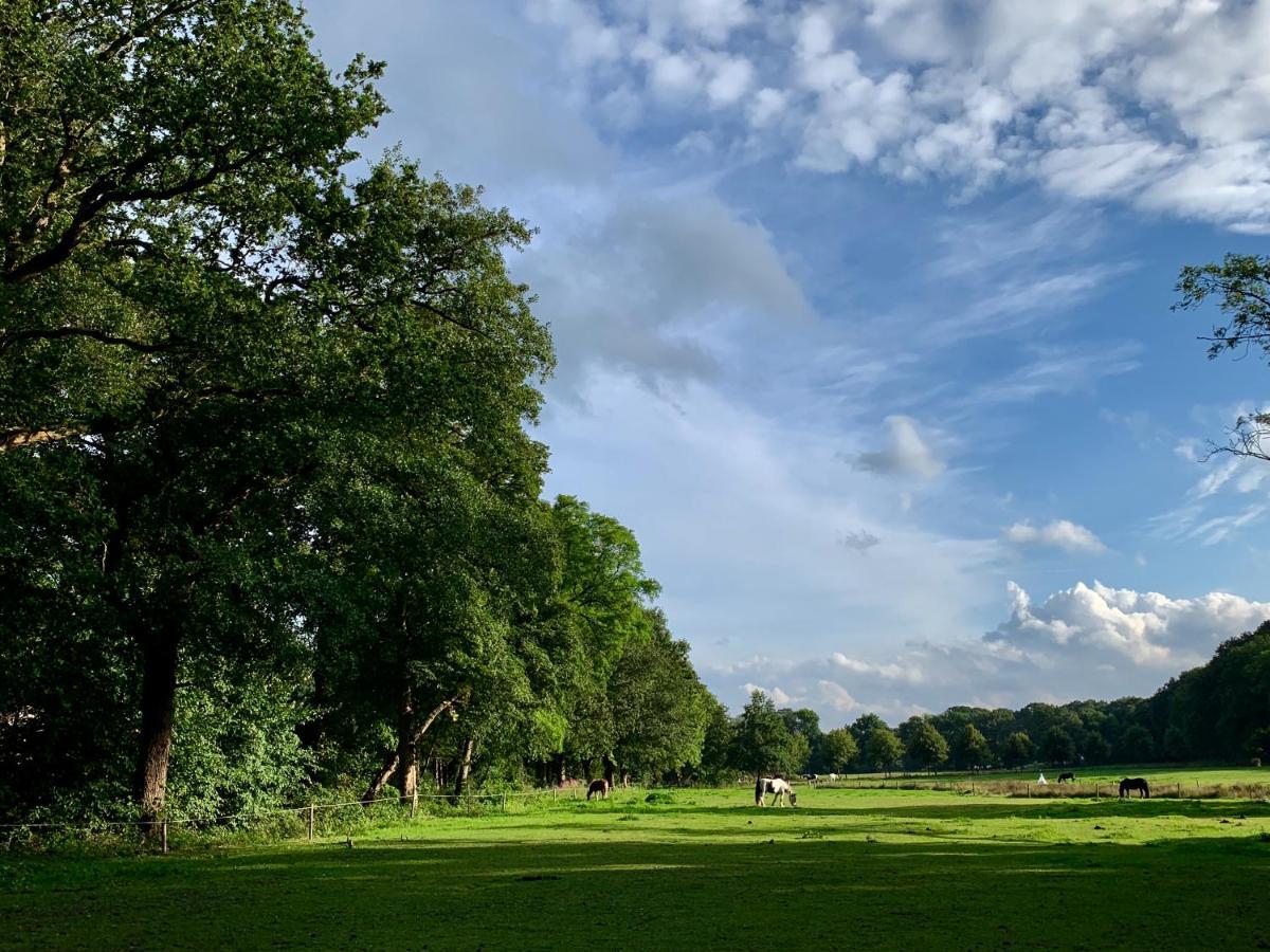 Sluwe Vos: Ontspannen In Het Bos! อ็อตเตอร์โล ภายนอก รูปภาพ