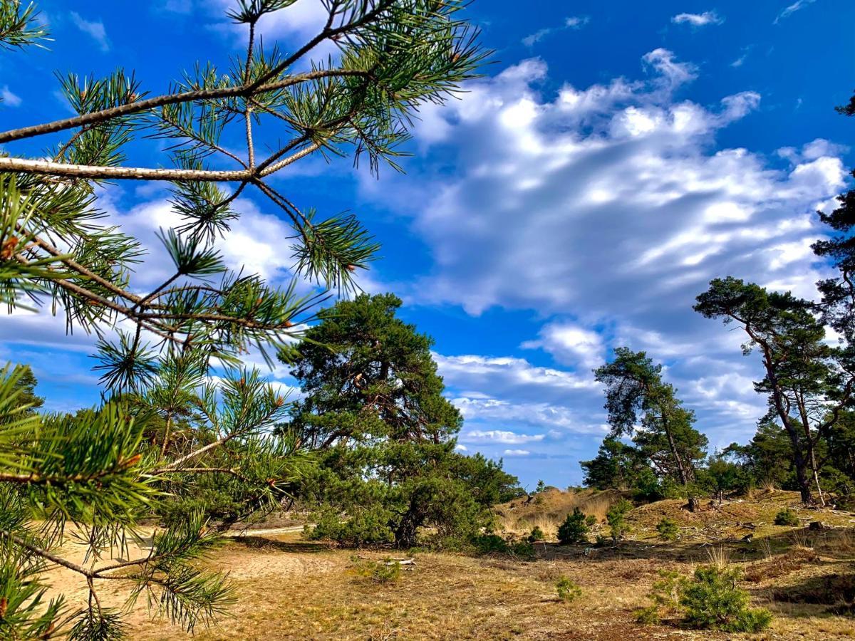 Sluwe Vos: Ontspannen In Het Bos! อ็อตเตอร์โล ภายนอก รูปภาพ