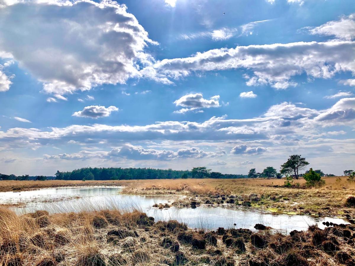 Sluwe Vos: Ontspannen In Het Bos! อ็อตเตอร์โล ภายนอก รูปภาพ