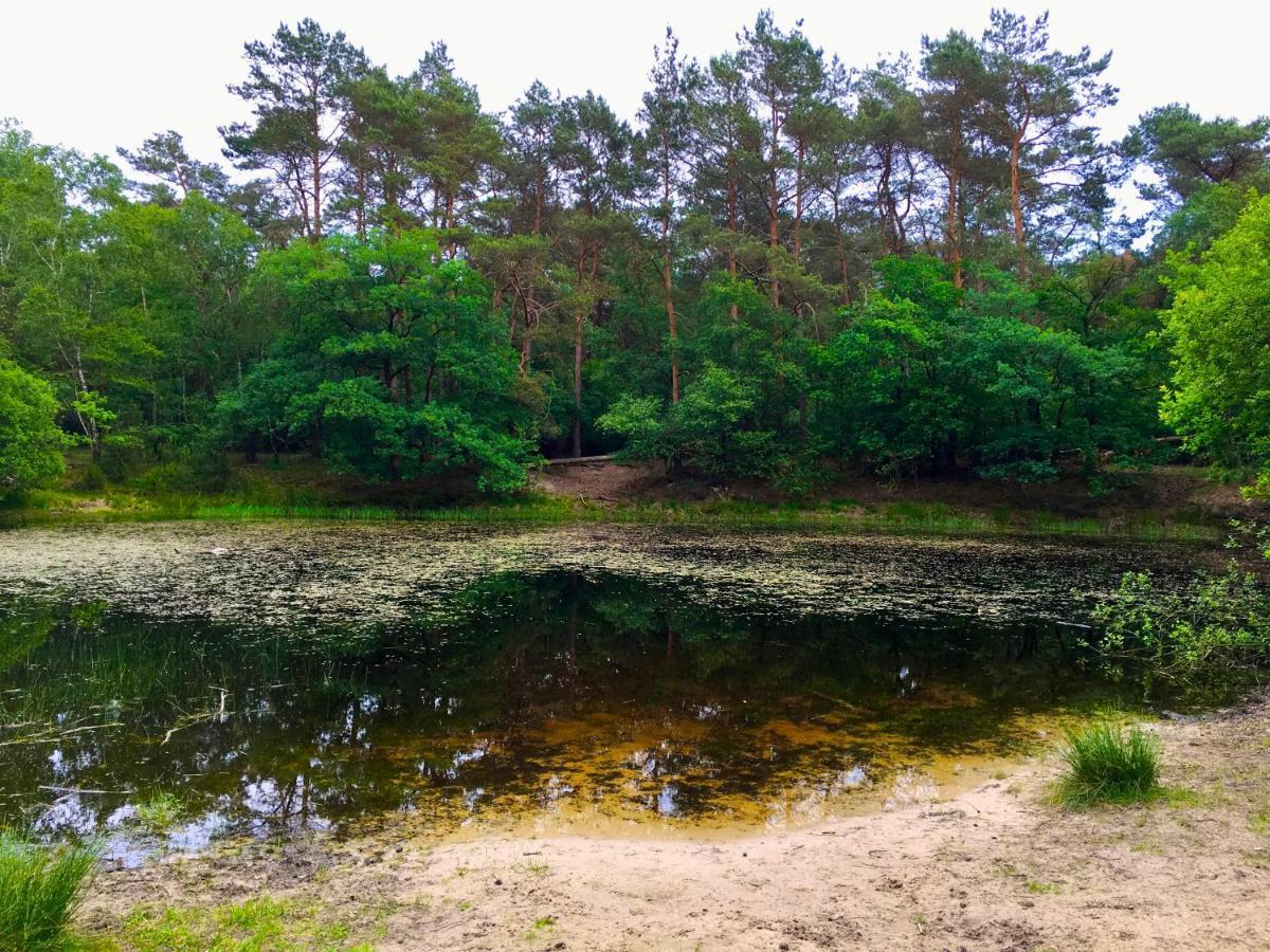 Sluwe Vos: Ontspannen In Het Bos! อ็อตเตอร์โล ภายนอก รูปภาพ